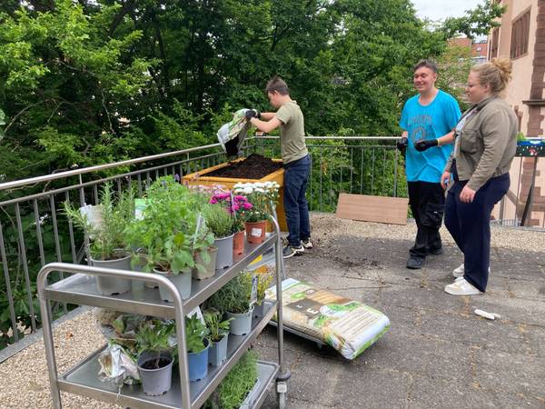 Drei Personen stehen auf einer Terrasse und befüllen ein großes Hochbeet mit Erde, während auf einem Rollwagen im Vordergrund zahlreiche Kräuter- und Blumentöpfe bereitstehen. Die Szene findet im Freien mit dichtem Grün im Hintergrund statt.